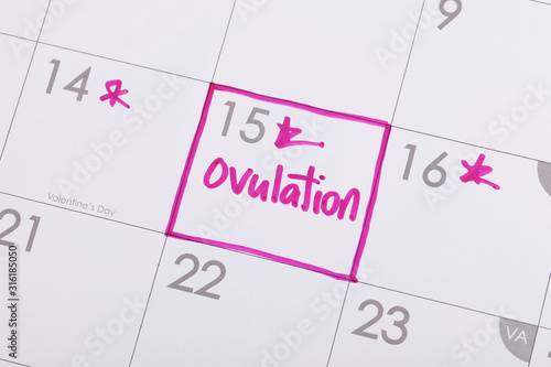Ovulation  photo