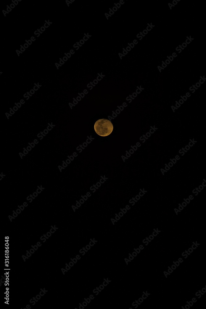 Moonlight Moonlight