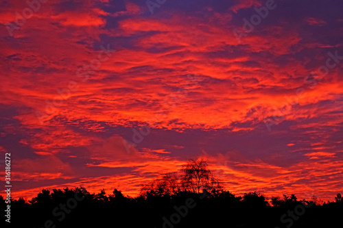 Bright colorful sunrise. The sky in the early morning. Clouds in the morning sun. Horizontal shot.