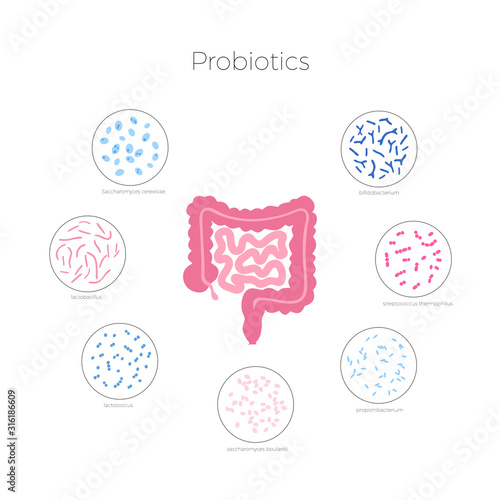Vector isolated illustration of human microbiota