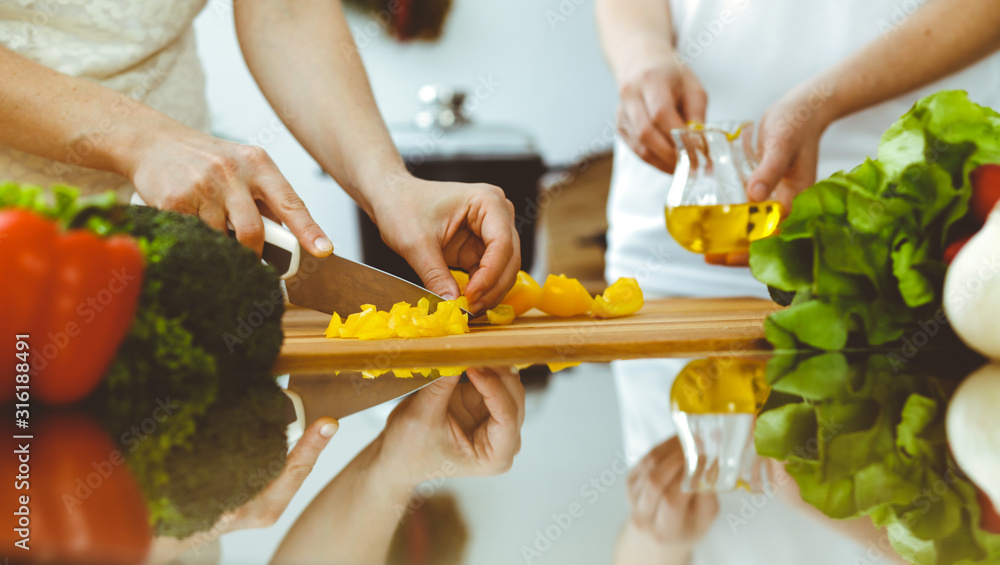 Closeup of human hands cooking in kitchen. Mother and daughter or two female friends cutting vegetables for fresh salad. Friendship, family dinner and lifestyle concepts Closeup of human hands cooking in kitchen. Mother and daughter or two female friends cutting vegetables for fresh salad. Friendship, family dinner and lifestyle concepts