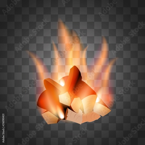 Burning wood burns brightly, the   fire burns the tree, coals were formed, the fire is very bright. Template,   flyer, on a transparent background, isolated. Vector clipart.