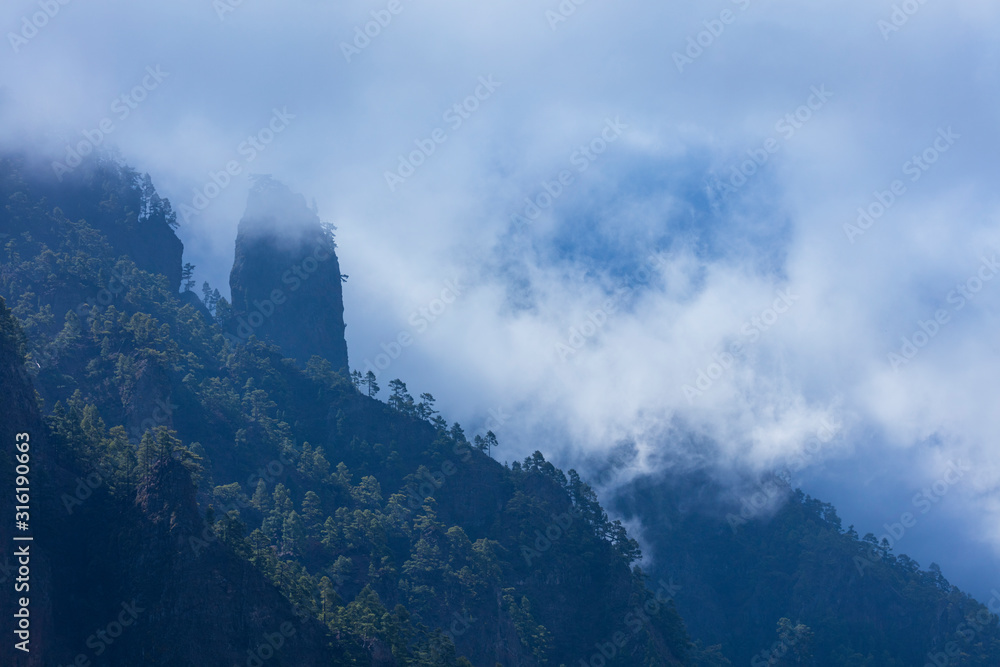 Roques, Fog and Canary Island pine forest, La Cumbrecita, Caldera de Taburiente National Park, Island of La Palma, Canary Islands, Spain, Europe