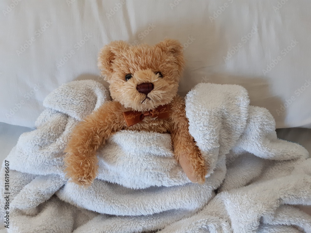 teddy bear with the blanket in bed