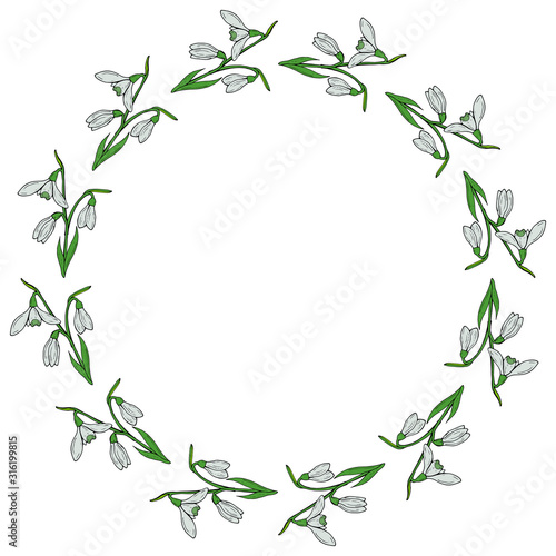 Round frame with horizontal lovely snowdrops on white background. Isolated vector flowers pattern for your design.