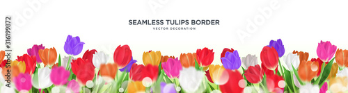 Fotografija Colorful tulips flower seamless border vector decoration, 3d floral frame templa