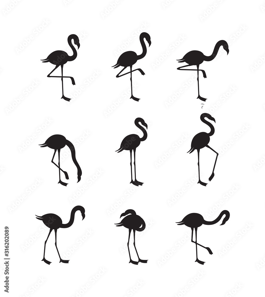 Obraz premium Set flamingo black silhouettes in various poses, vector illustration isolated.