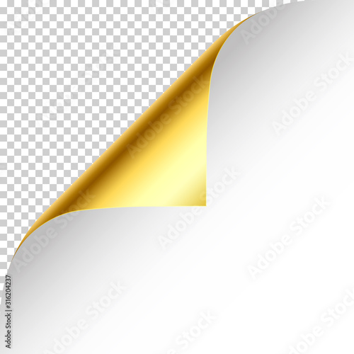 Realistic golden curled page corner with shadow on checkered background. Greeting card design element. Blank sheet of paper. Vector illustration.
