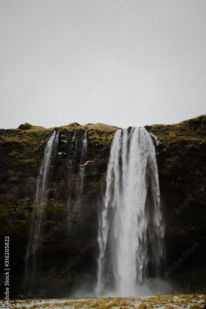 Obraz premium waterfall in deep forest