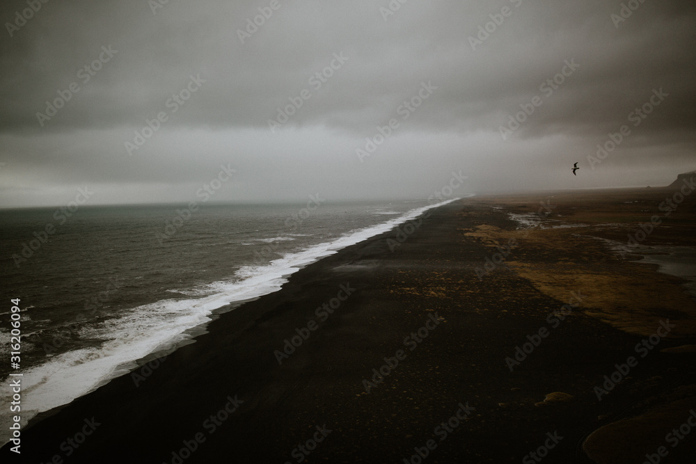 Fototapeta Czarna piasek plaża w Islandii