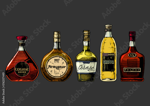 illustration of different brandies types