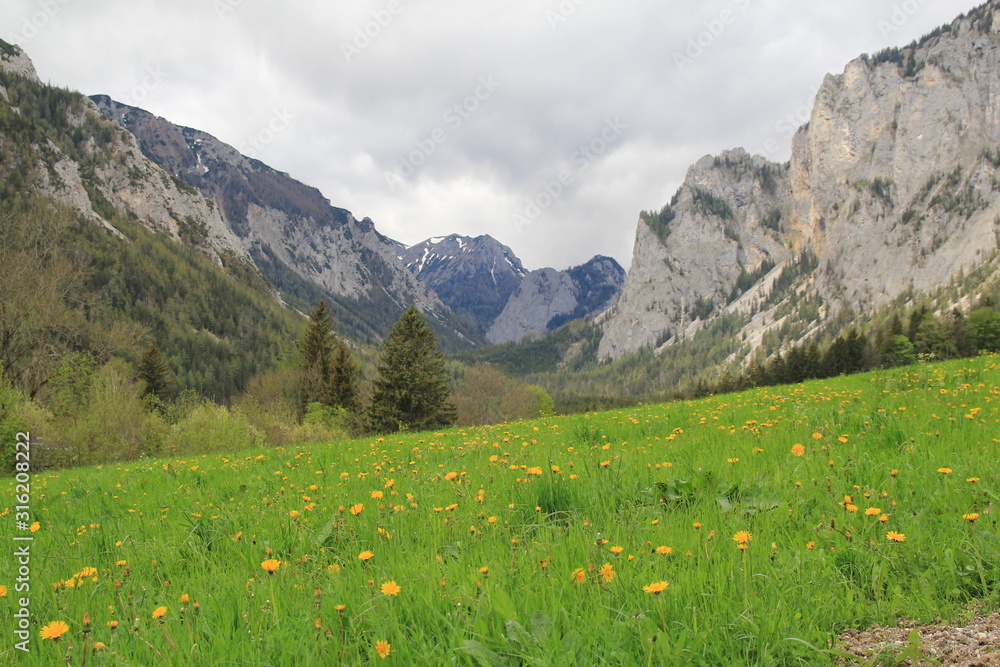Alpy Austria