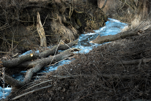 Blue ice belt between trees