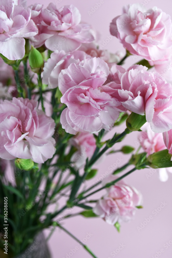 Bouquet of pink carnations on pink pastel background. Carnation for mothers day, wedding and valentines day. Close up