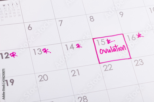 Ovulation marked on calendar 