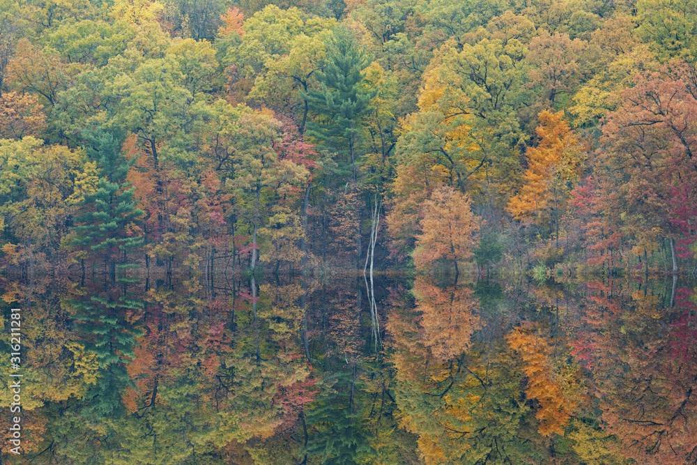 Autumn landscape of the shoreline of Hall Lake with mirrored reflections in calm water, Yankee Springs State Park, Michigan, USA Autumn landscape of the shoreline of Hall Lake with mirrored reflections in calm water, Yankee Springs State Park, Michigan, USA