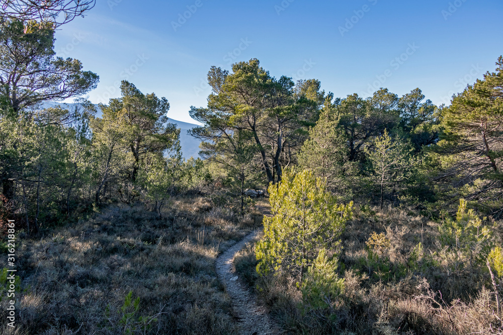 Empty footpath in mountains of Provence, France