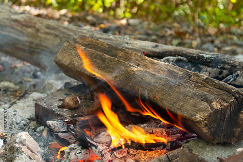 fire, close-up fire, tree burns