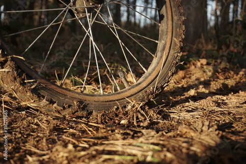 wheel from mountain bike on forest road