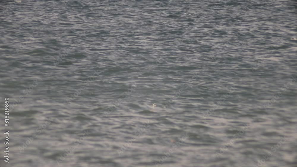 Beautiful Scenery Of A Calm Water During Sunny Day in Canada - Close Up Shot Beautiful Scenery Of A Calm Water During Sunny Day in Canada - Close Up Shot