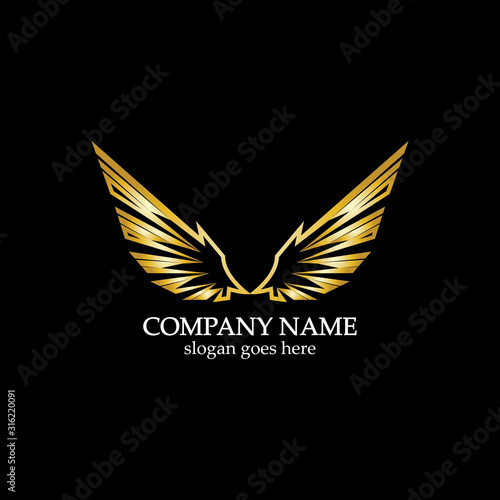 wings gold logo vector illustration template-vector