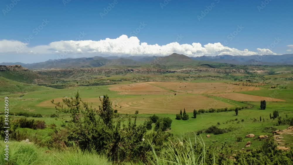 Maloti mountain range and farms in Free-state province near Clarens town and the Lesotho border. Roadside grass and flowers moving in the wind. Maloti mountain range and farms in Free-state province near Clarens town and the Lesotho border. Roadside grass and flowers moving in the wind.