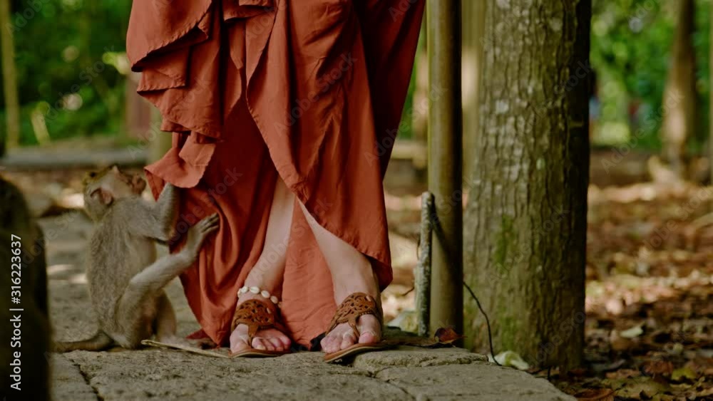 Woman at monkey forest at Ubud, Bali Woman at monkey forest at Ubud, Bali