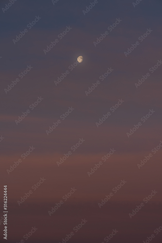 Moon in a pinkish sky at sunrise