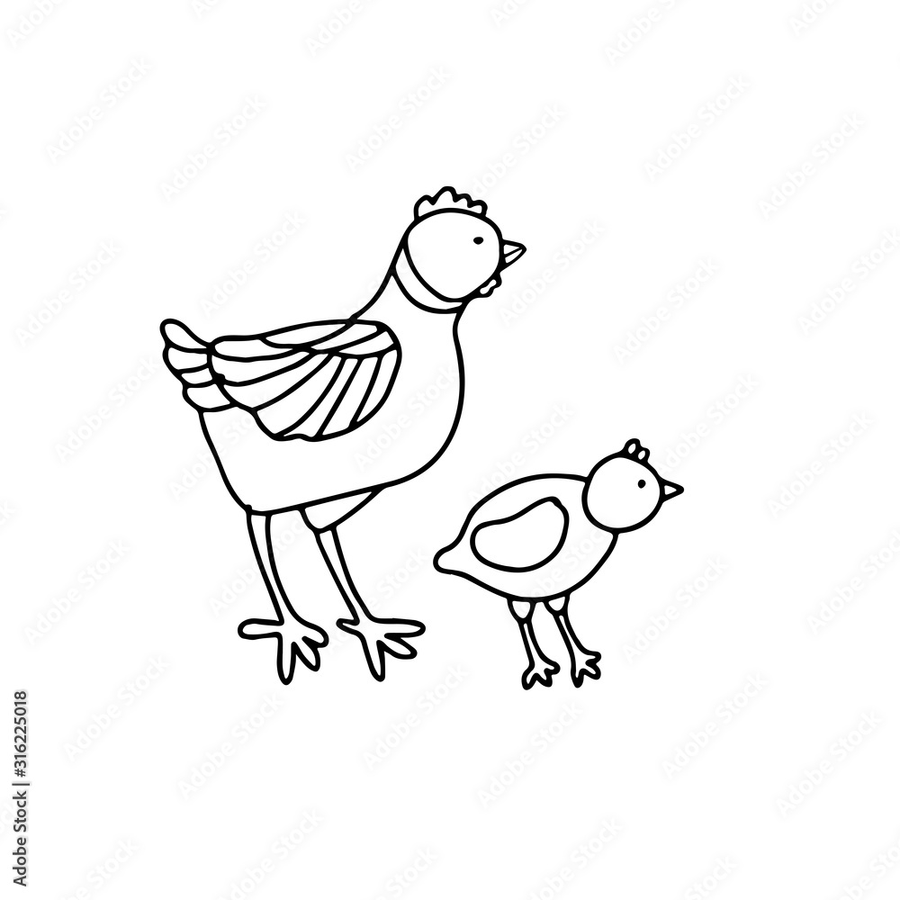 A cute hen and a chick in doodle style. Isolated outline. Hand drawn vector illustration in black ink on white background. Single picture for coloring books. A cute hen and a chick in doodle style. Isolated outline. Hand drawn vector illustration in black ink on white background. Single picture for coloring books.
