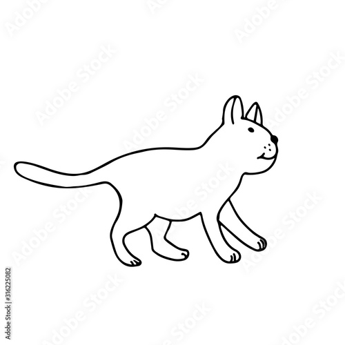 A cute cat in doodle style. Isolated outline. Hand drawn vector illustration in black ink on white background. Single picture for coloring books and design.