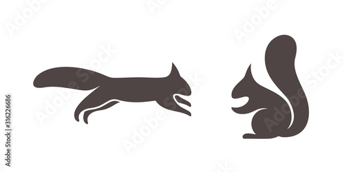 Squirrel logo. Isolated squirrel on white background