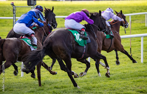 Galloping towards the finish line, group of race horses and jockeys competing