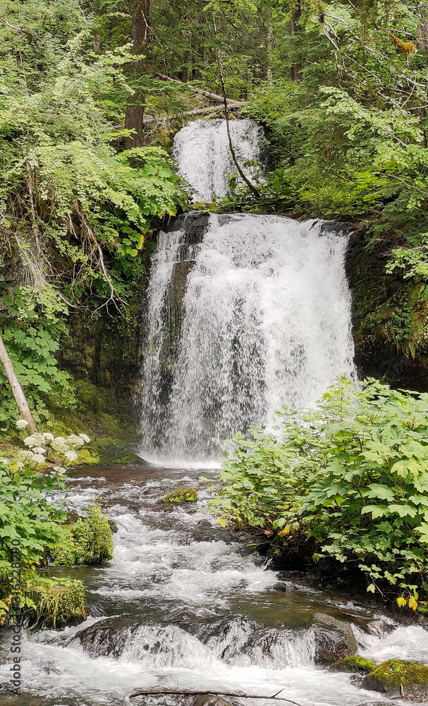 Giffer Rocks Foto de Breathtaking two tiered Twin Falls in a lush rainforest setting ...