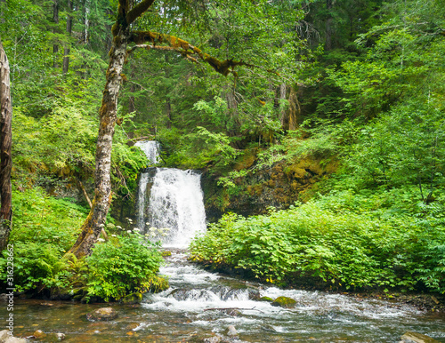 Breathtaking two tiered Twin Falls in a lush rainforest setting with rocks and boulders and clean mountain water cascading in the Gifford Pinchot National Forest Skamania County Washington State photo