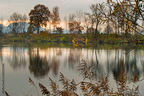 Alter Rhein -  Rohr - Lustenau