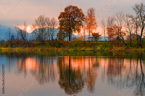 Alter Rhein -  Rohr - Lustenau