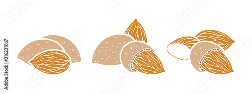 Almond logo. Isolated almond on white background