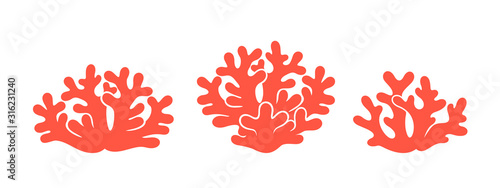 Coral logo. Isolated coral on white background. Set