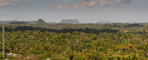  Cuban Tropical Scenery photo