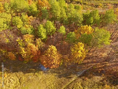 Aerial drone view. Autumn foilage park.