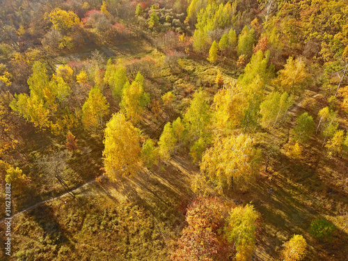 Aerial drone view. Autumn foilage park.