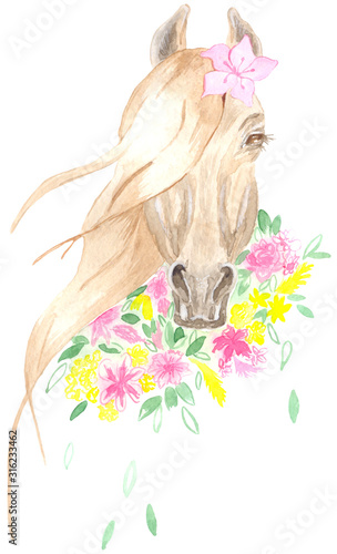 Watercolor portrait of a beautiful elegant horse among delicate bouquets of flowers. Great for decorating postcards  invitations  textiles  photo albums  business cards  calendars and more.