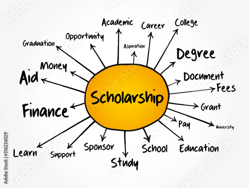 Scholarship mind map flowchart, education concept for presentations and reports