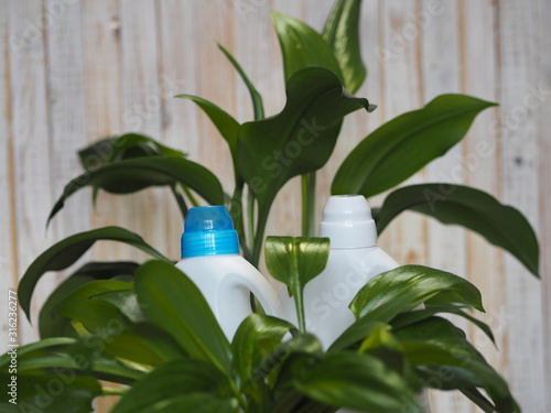 Green leaves of a plant against the background of plastic bottles of detergent. The concept of bioorganic detergent product.