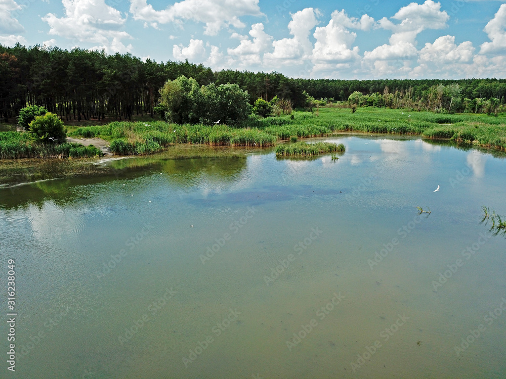 Fototapeta premium Aerial drone view. Forest lake in the country.