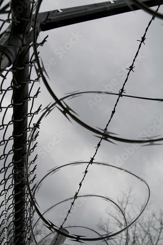 barbed wire fence with gray skies