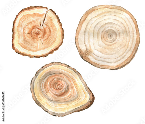 Watercolor slices of wood.