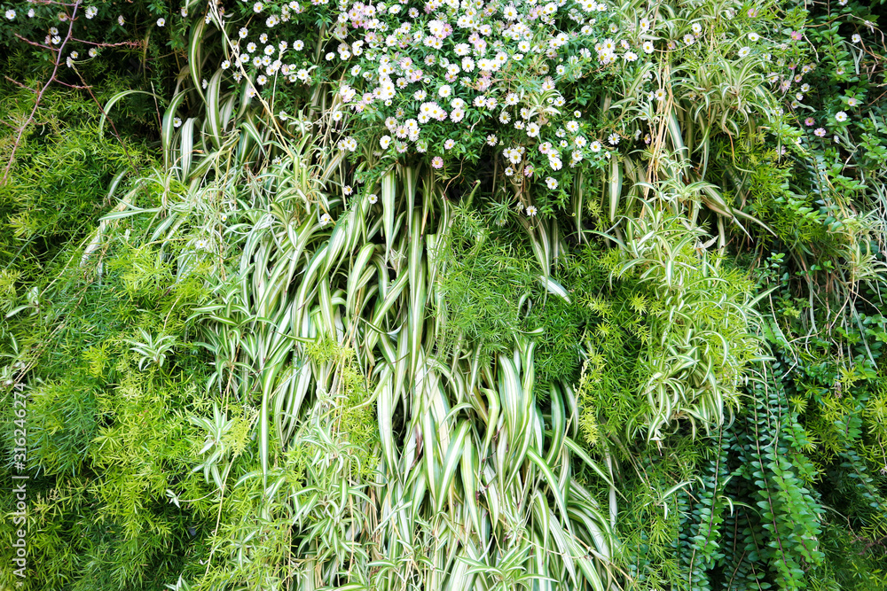 Colorful green different grass background Colorful green different grass background