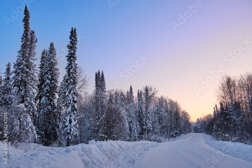Winter landscape. Road through the evening snowy forest. At the edges, spruce and birch are covered with snow. Western Siberia. Russia . © Alexey