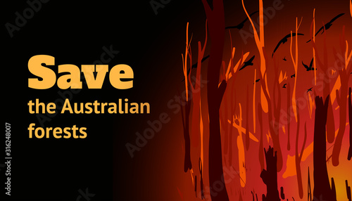 Banner with a burning forest and the inscription Save the Australian Forests. Cartoon vector illustration